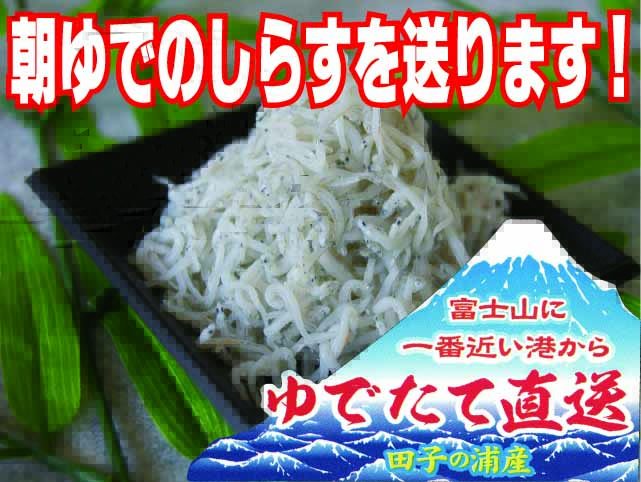 静岡 しらすの八幡 美味しいしらす・桜エビ